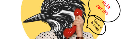 Cowbells (In Memory of Tatjana Pavlovic)