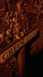 Green Lane at night, photographed by Janette Fowler