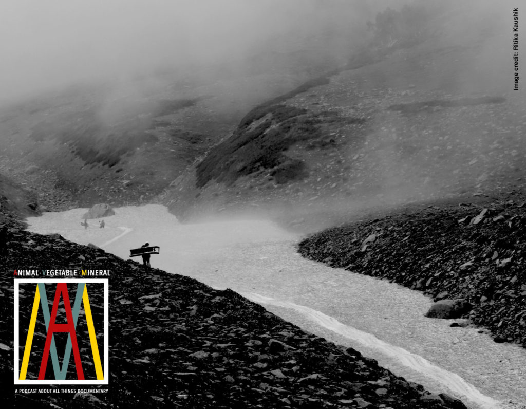 Animal, Vegetable, Mineral: A Podcast About All Things Documentary